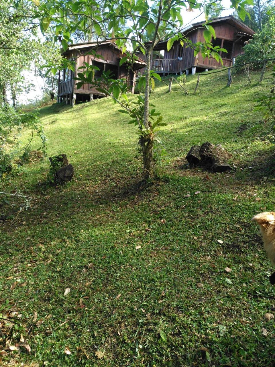 Cabañas Don Camilo Albergue de Montaña Cabecera de Canas Exterior foto