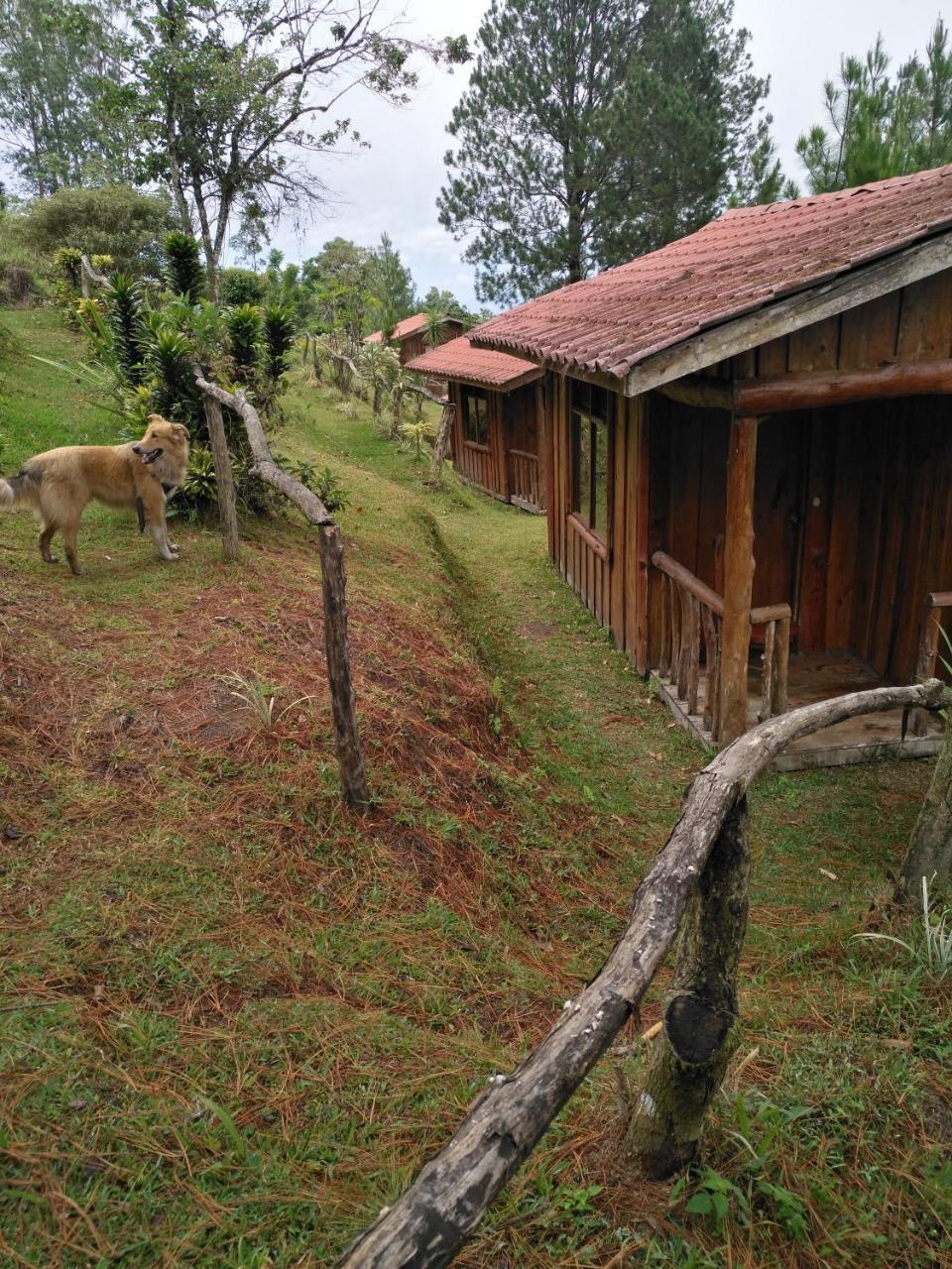 Cabañas Don Camilo Albergue de Montaña Cabecera de Canas Exterior foto